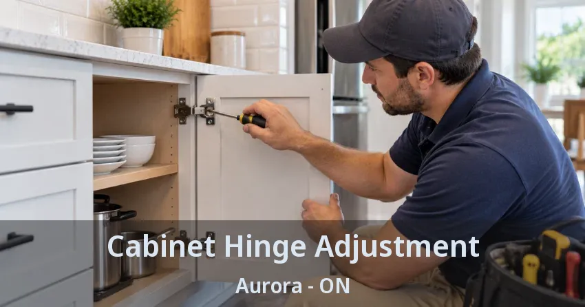 Cabinet Hinge Adjustment Aurora - ON