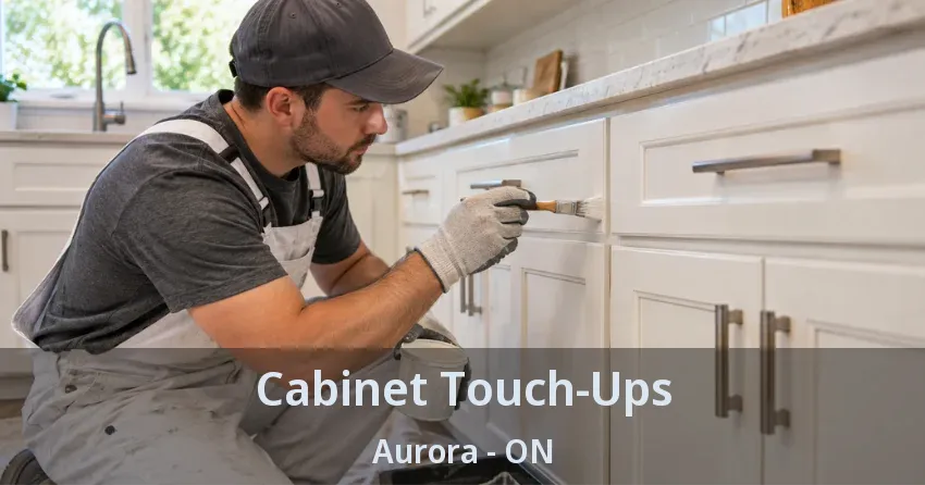 Cabinet Touch-Ups Aurora - ON