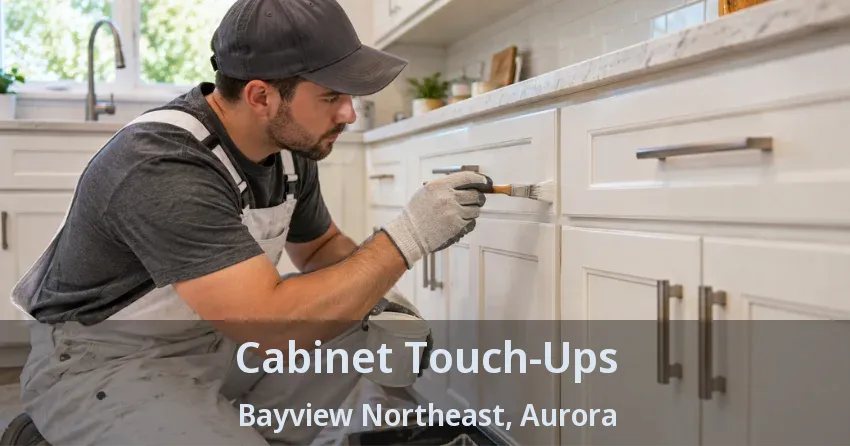 Cabinet Touch-Ups Bayview Northeast, Aurora - ON