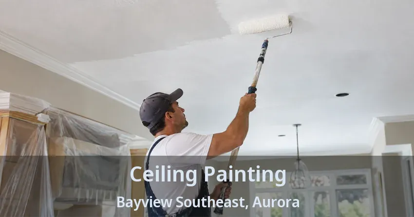 Ceiling Painting Bayview Southeast, Aurora - ON