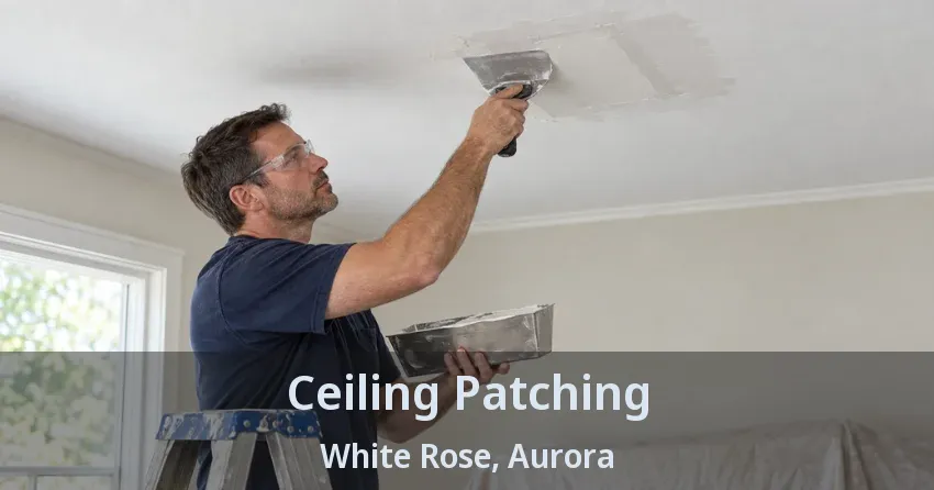 Ceiling Patching White Rose, Aurora - ON