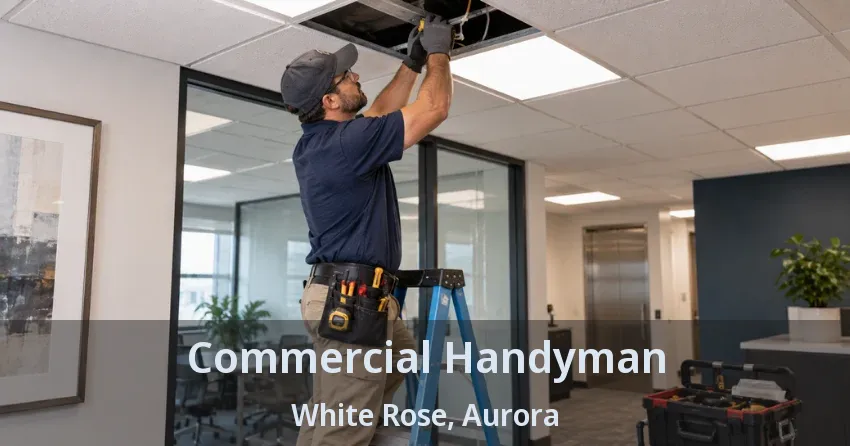 Commercial Handyman White Rose, Aurora - ON