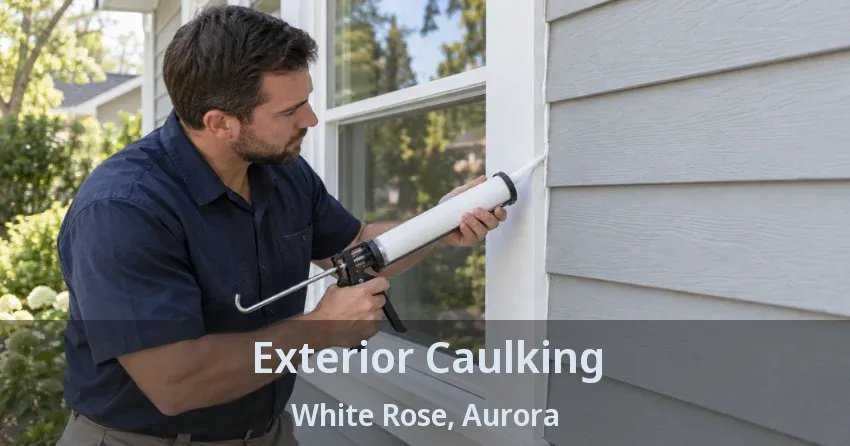 Exterior Caulking White Rose, Aurora - ON