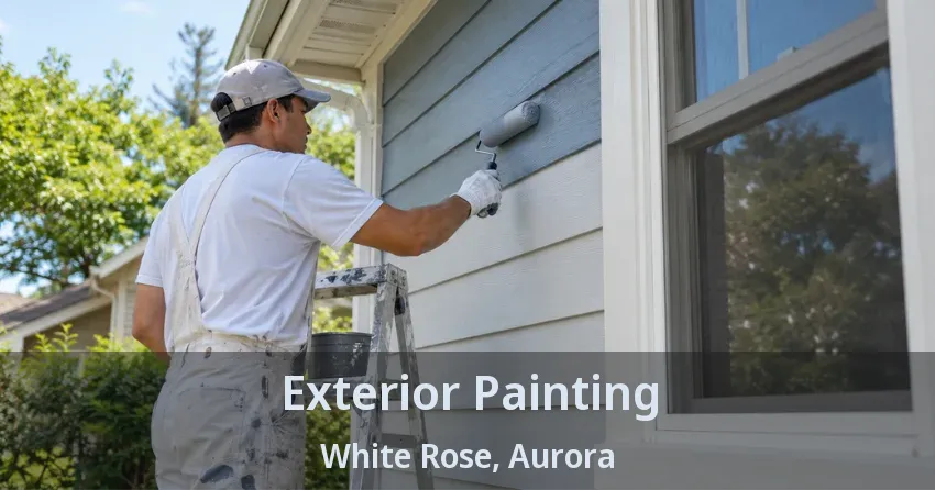 Exterior Painting White Rose, Aurora - ON
