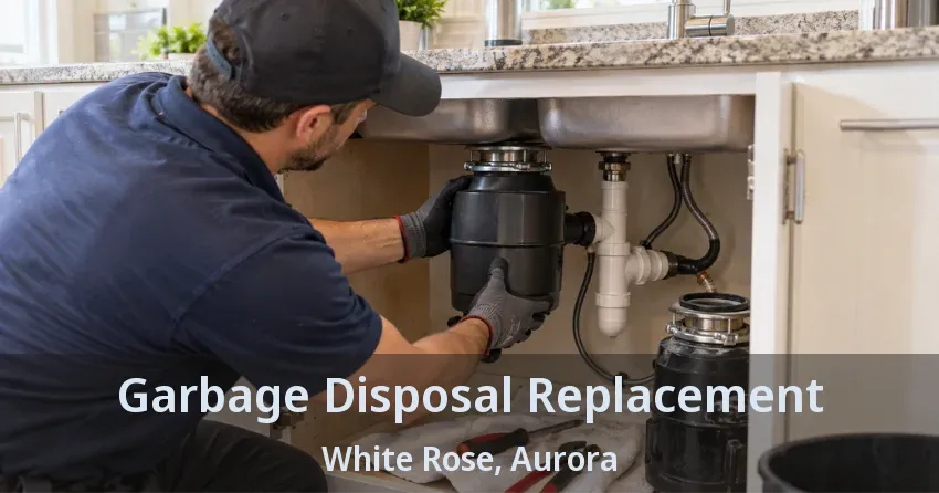 Garbage Disposal Replacement White Rose, Aurora - ON