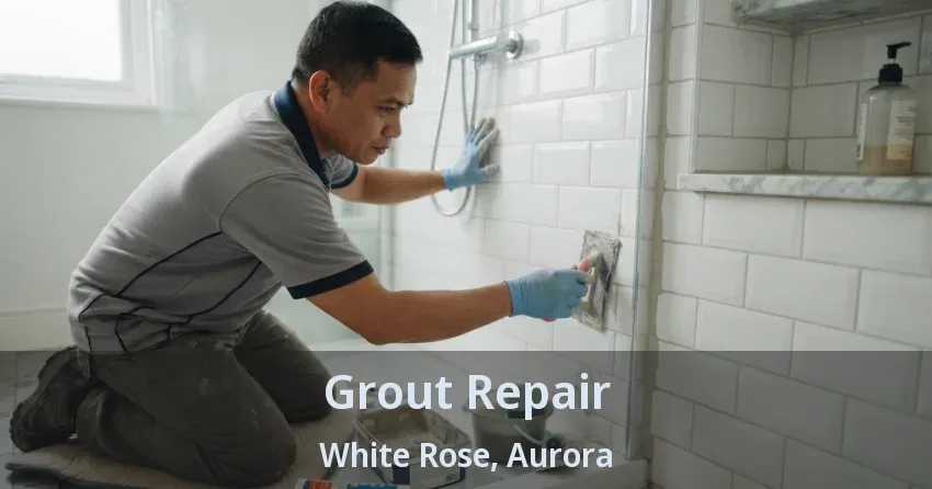 Grout Repair White Rose, Aurora - ON