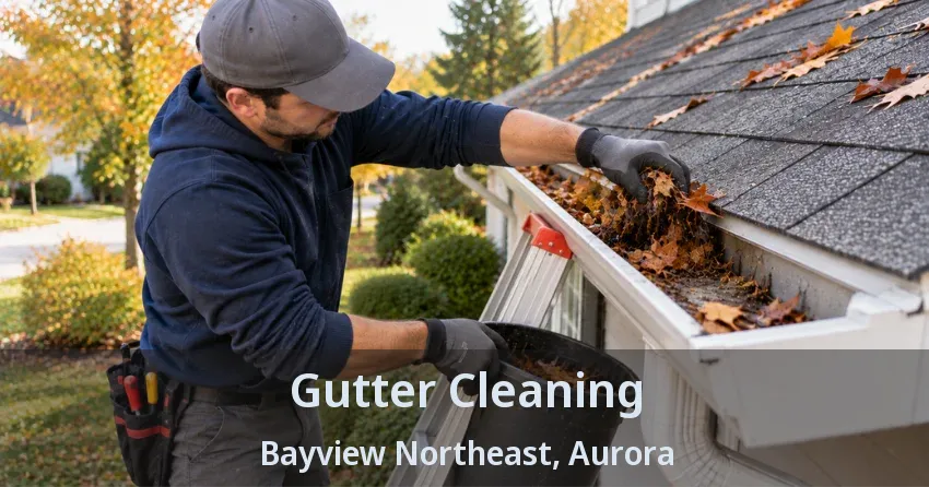 Gutter Cleaning Bayview Northeast, Aurora - ON
