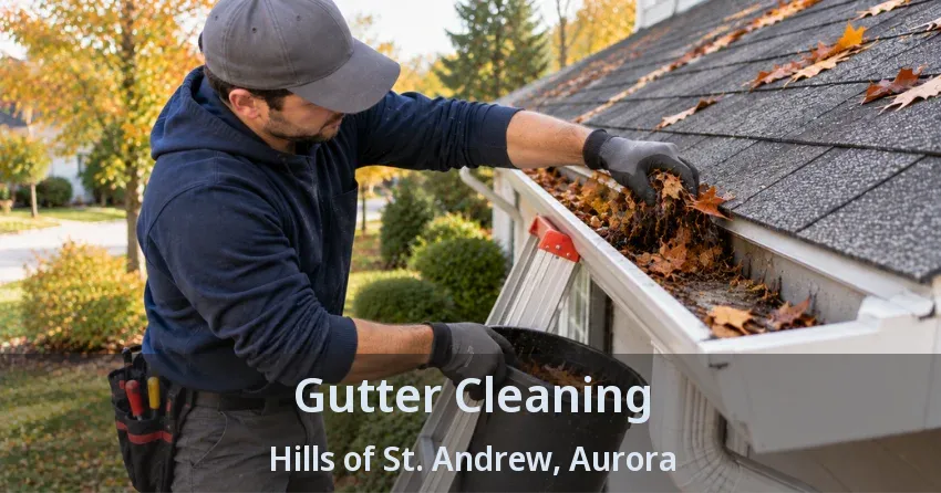 Gutter Cleaning Hills of St. Andrew, Aurora - ON