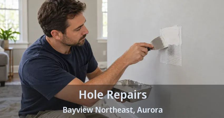 Hole Repairs Bayview Northeast, Aurora - ON