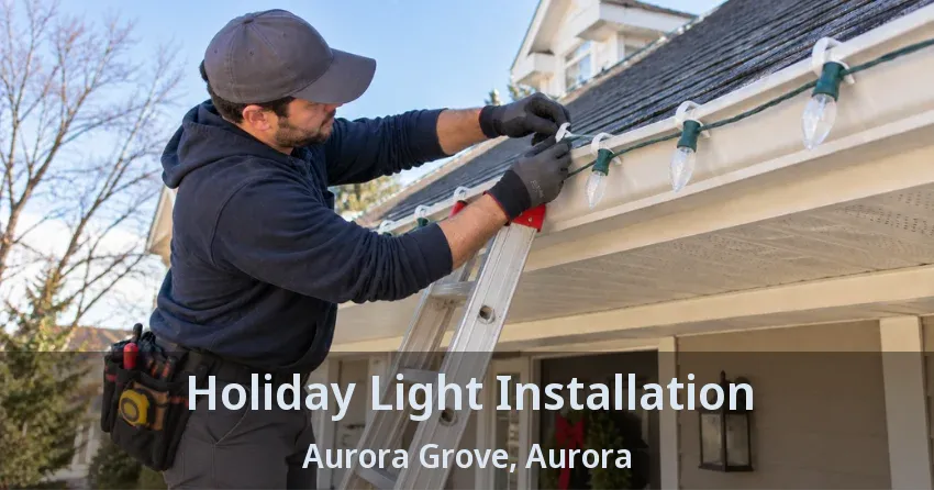Holiday Light Installation Aurora Grove, Aurora - ON