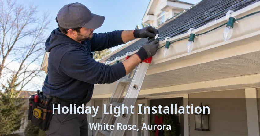 Holiday Light Installation White Rose, Aurora - ON