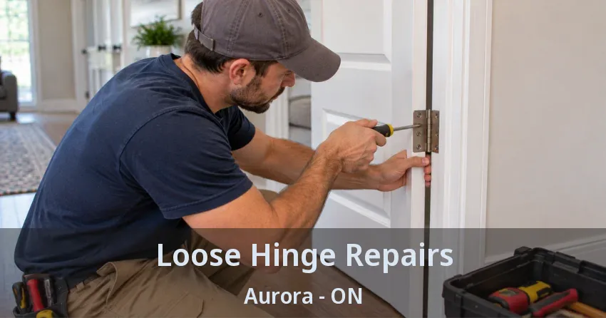Loose Hinge Repairs Aurora - ON