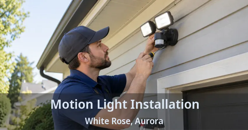 Motion Light Installation White Rose, Aurora - ON