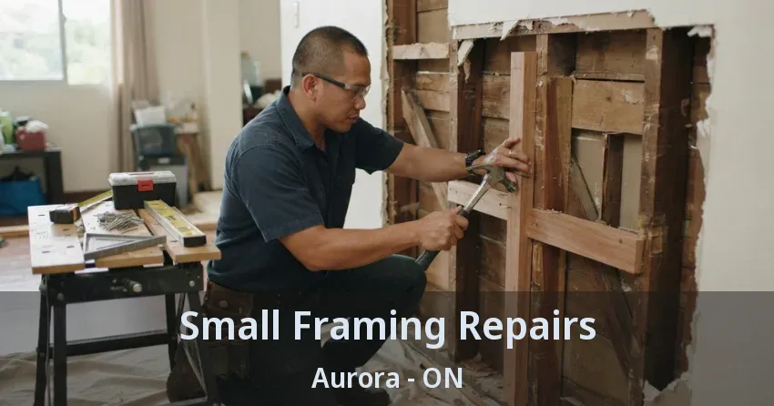 Small Framing Repairs Aurora - ON