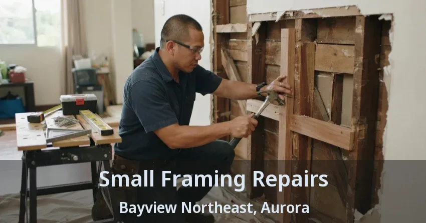 Small Framing Repairs Bayview Northeast, Aurora - ON