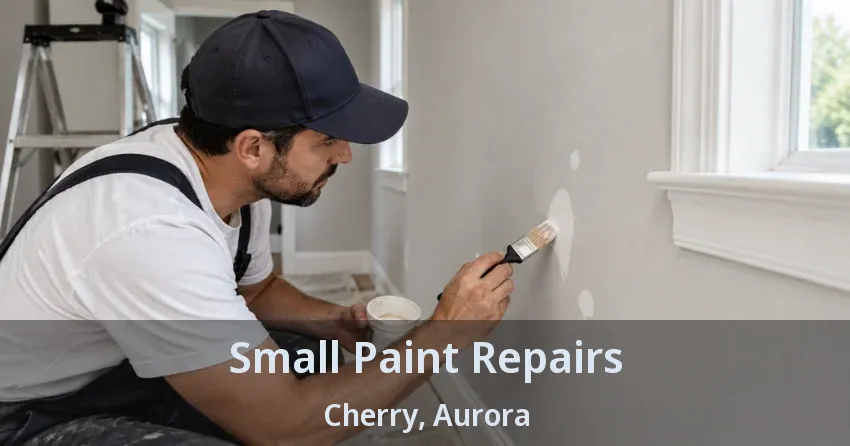 Small Paint Repairs Cherry, Aurora - ON