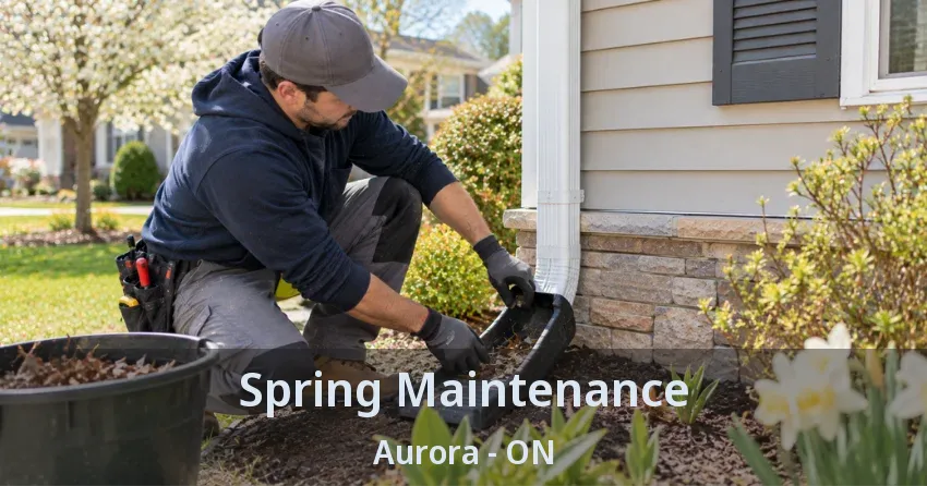 Spring Maintenance Aurora - ON
