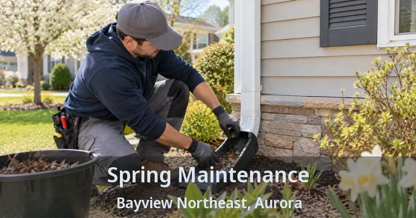 Spring Maintenance Bayview Northeast, Aurora - ON