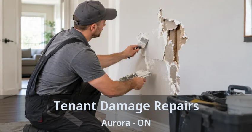 Tenant Damage Repairs Aurora - ON