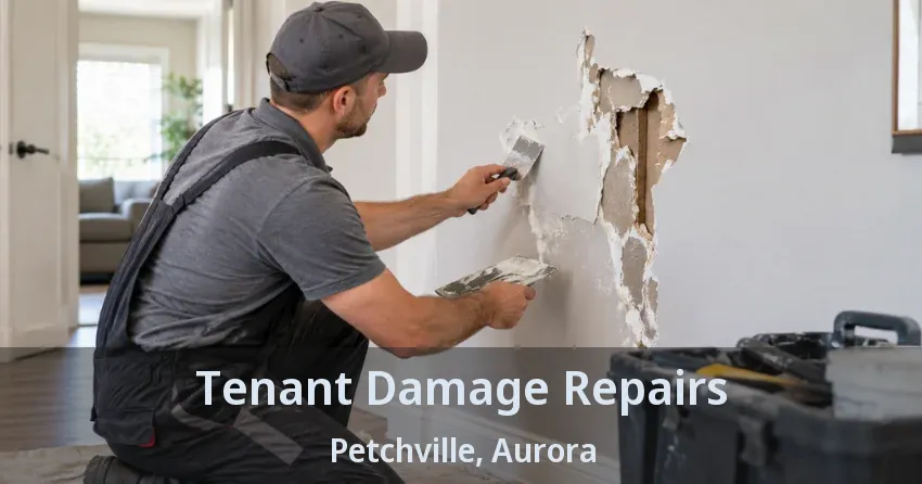 Tenant Damage Repairs Petchville, Aurora - ON