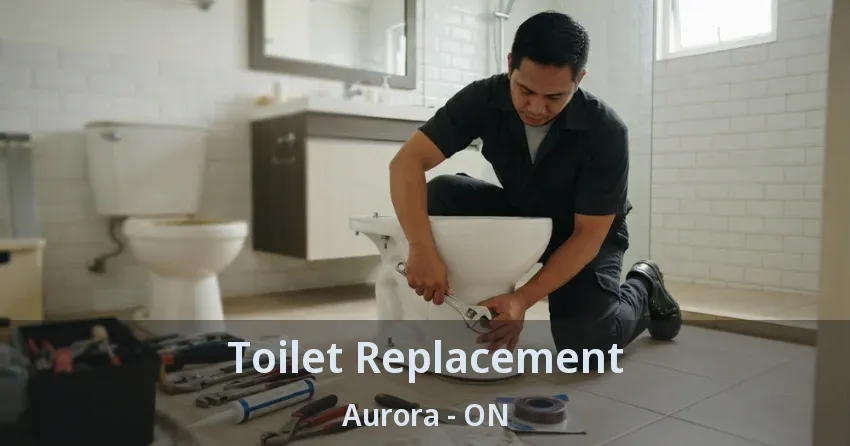 Toilet Replacement Aurora - ON