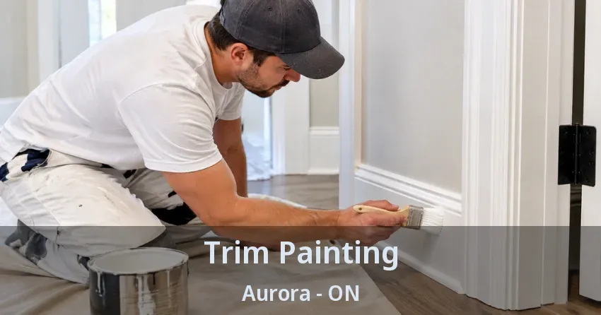 Trim Painting Aurora - ON