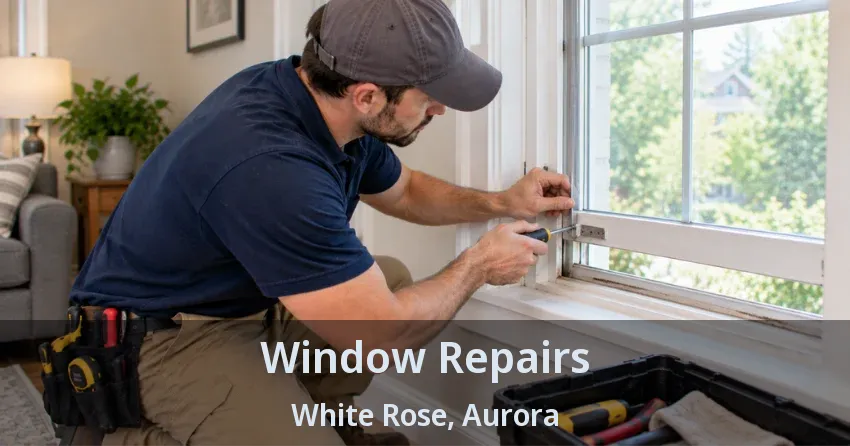 Window Repairs White Rose, Aurora - ON