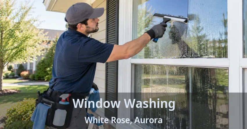 Window Washing White Rose, Aurora - ON
